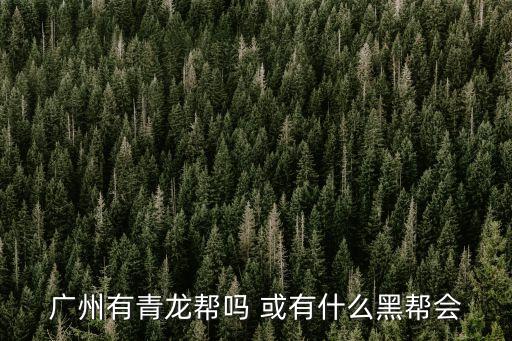 廣州有青龍幫嗎 或有什么黑幫會