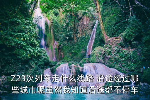 武昌至深圳z23經過站，Z23次武昌到深圳的車是到深圳哪個站啊