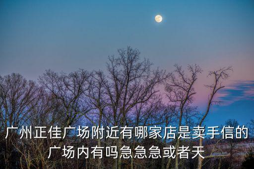 廣州正佳廣場(chǎng)附近有哪家店是賣手信的廣場(chǎng)內(nèi)有嗎急急急或者天