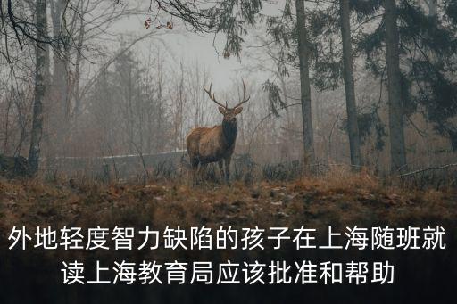 外地輕度智力缺陷的孩子在上海隨班就讀上海教育局應(yīng)該批準(zhǔn)和幫助