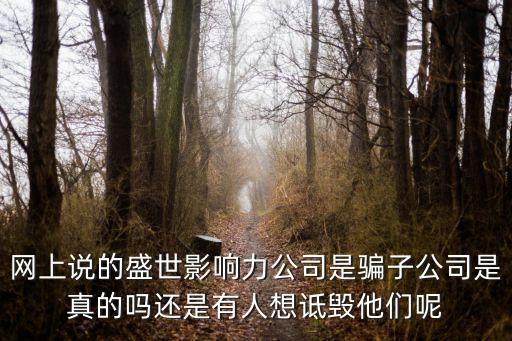 深圳市影響力科技有限公司，影響力集團怎么樣