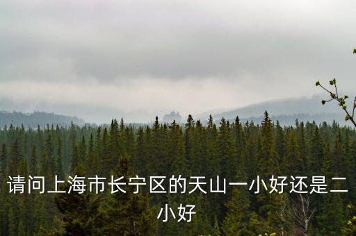 上海市天山二小是菜小嗎，天山二小和威寧小學哪個好