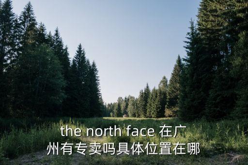 the north face 在廣州有專賣嗎具體位置在哪
