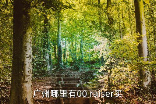 r50團購廣州，廣州哪里有00 raiser買