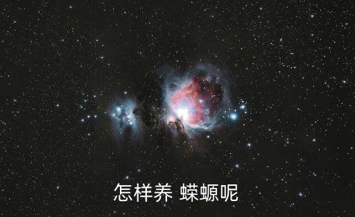 蠑螈怎么養,六角恐龍蠑螈怎么養