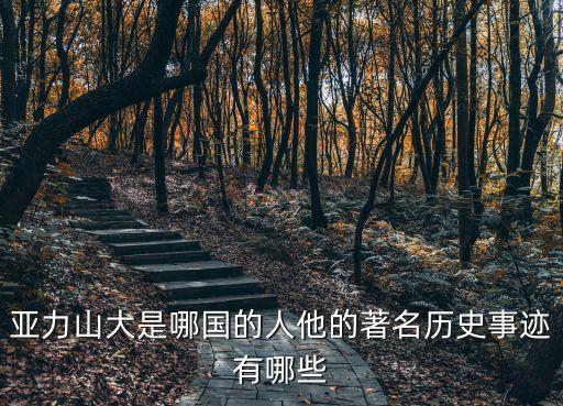 亞力山大是哪國的人他的著名歷史事跡有哪些