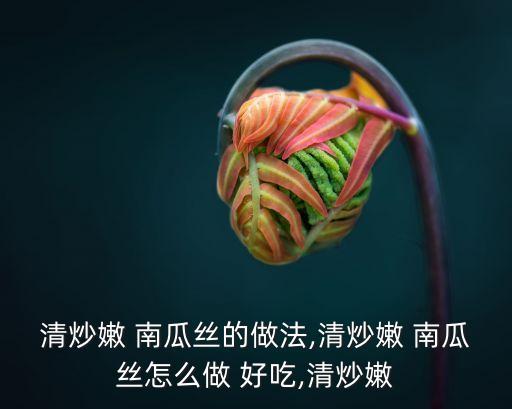 清炒嫩 南瓜絲的做法,清炒嫩 南瓜絲怎么做 好吃,清炒嫩