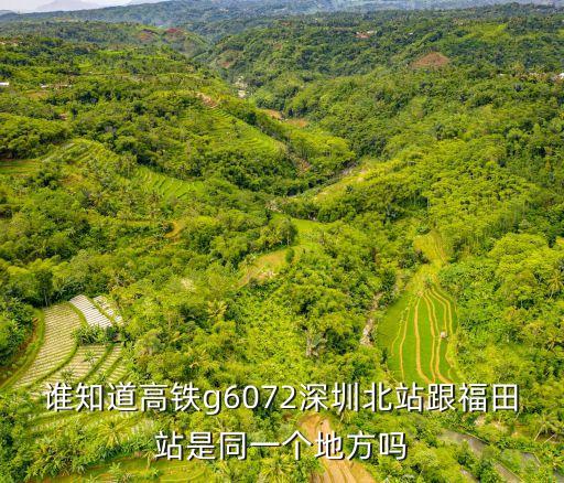 誰知道高鐵g6072深圳北站跟福田站是同一個地方嗎