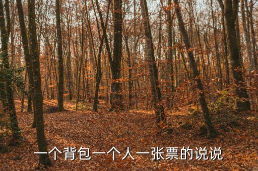 一個背包一個人一張票的說說