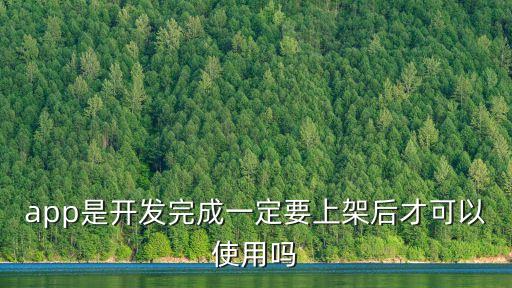 app是開發完成一定要上架后才可以使用嗎
