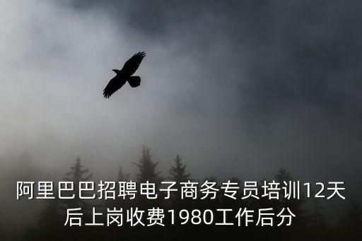 阿里巴巴深圳專場招聘，阿里巴巴招聘電子商務專員培訓12天后上崗收費1980工作后分