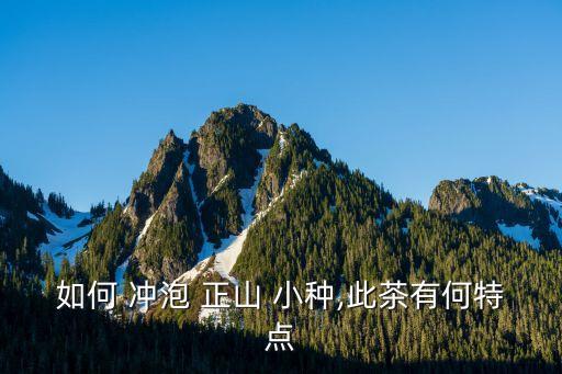 如何 沖泡 正山 小種,此茶有何特點