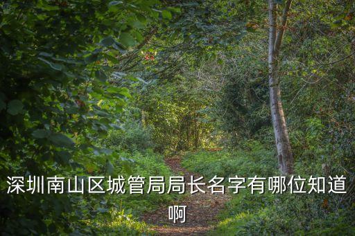 深圳南山區(qū)城管局局長名字有哪位知道啊