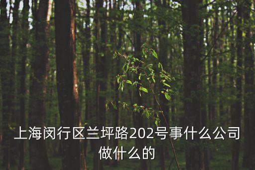 上海市閔行區藍坪路，上海市蘭坪路在什么鎮
