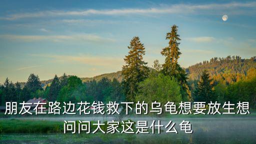 朋友在路邊花錢救下的烏龜想要放生想問問大家這是什么龜