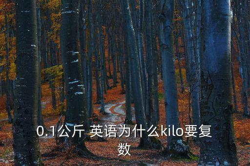 0.1公斤 英語為什么kilo要復數