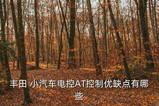 小汽車(chē)駕駛技術(shù),模擬小汽車(chē)真實(shí)駕駛