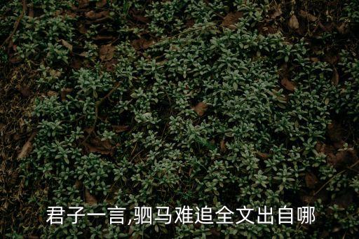  君子一言,駟馬難追全文出自哪