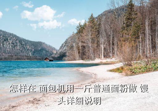 怎樣在 面包機用一斤普通面粉做 饅頭詳細說明