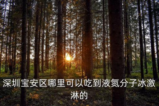 深圳寶安區(qū)哪里可以吃到液氮分子冰激淋的