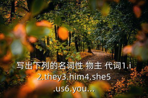 you的物主代詞,物主代詞有哪些?