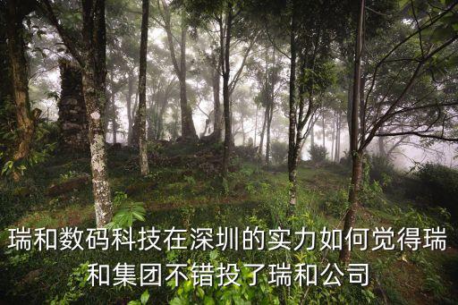 深圳市歐冠數碼科技，瑞和數碼科技在深圳的實力如何覺得瑞和集團不錯投了瑞和公司
