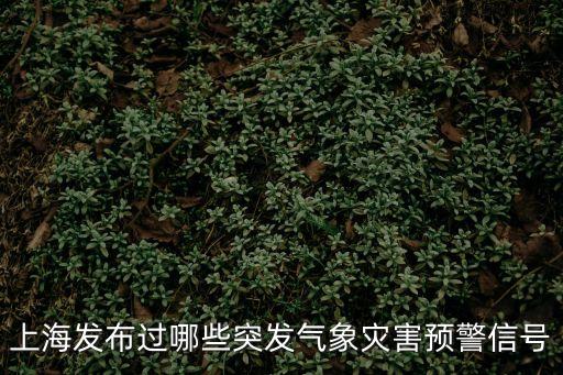 上海市關于惡劣天氣的通知，上海發布過哪些突發氣象災害預警信號
