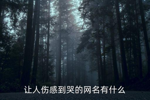 傷心的昵稱(chēng),抖音名字傷心的昵稱(chēng)