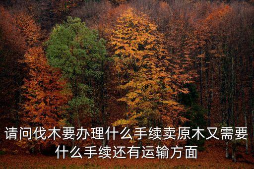 原木進口深圳清關，原木進口清關需要什么資料