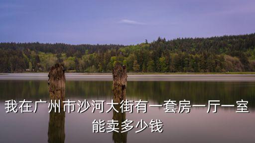 我在廣州市沙河大街有一套房一廳一室能賣多少錢