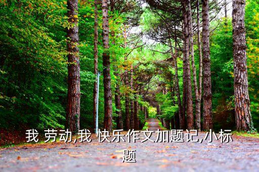 我 勞動,我 快樂作文加題記,小標題