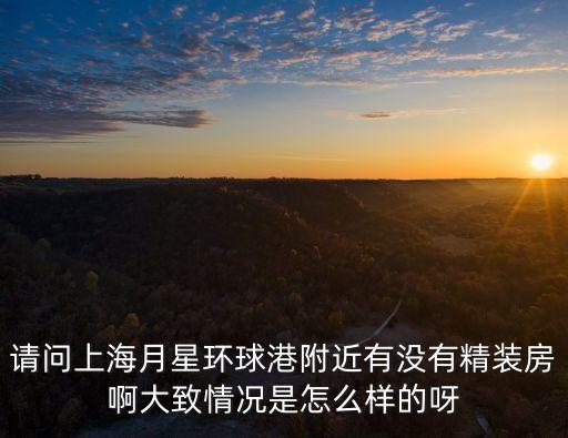 上海市月星環球港高級公寓，請問上海月星環球港附近有沒有精裝房啊大致情況是怎么樣的呀
