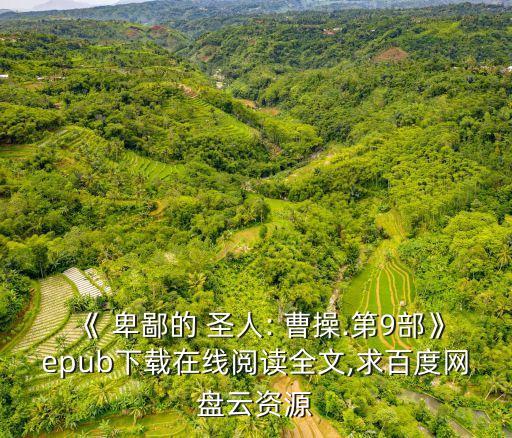 《 卑鄙的 圣人: 曹操.第9部》epub下載在線閱讀全文,求百度網(wǎng)盤云資源