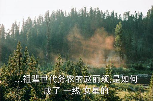 一線女星,趙靜如何成為一線女星?