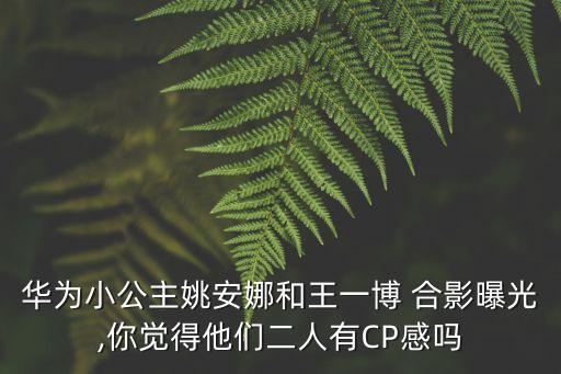 華為小公主姚安娜和王一博 合影曝光,你覺得他們二人有CP感嗎