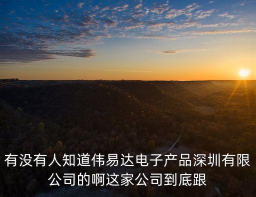 有沒有人知道偉易達電子產品深圳有限公司的啊這家公司到底跟