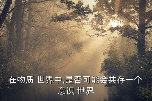 在物質(zhì) 世界中,是否可能會(huì)共存一個(gè)意識(shí) 世界