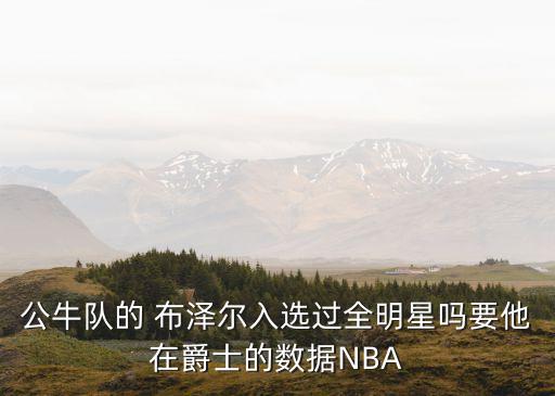 公牛隊的 布澤爾入選過全明星嗎要他在爵士的數據NBA