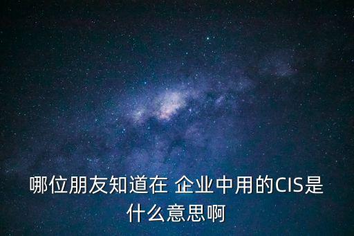 哪位朋友知道在 企業中用的CIS是什么意思啊