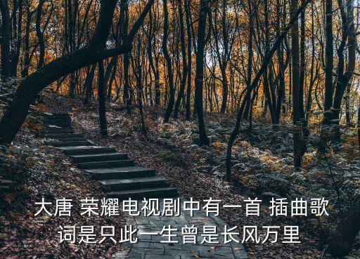大唐榮耀插曲