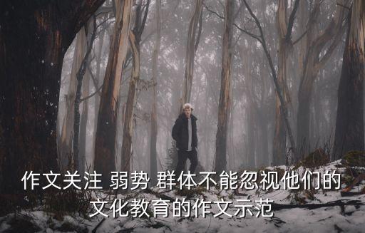 作文關(guān)注 弱勢 群體不能忽視他們的文化教育的作文示范
