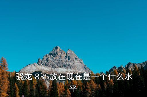 驍龍835手機,求驍龍835手機排行榜:高通驍龍835所有系列手機?