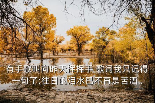 跟往事干杯歌詞,姜育恒跟往事干杯歌詞