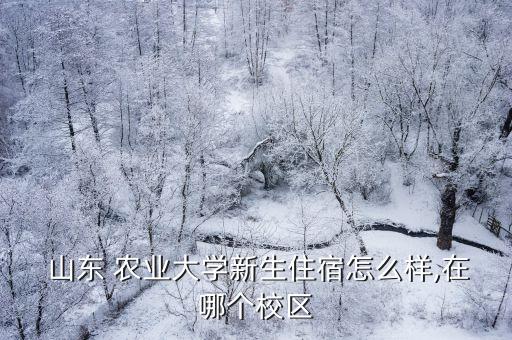 山東農業大學怎么樣,山東農業大學怎么樣?考研難嗎?