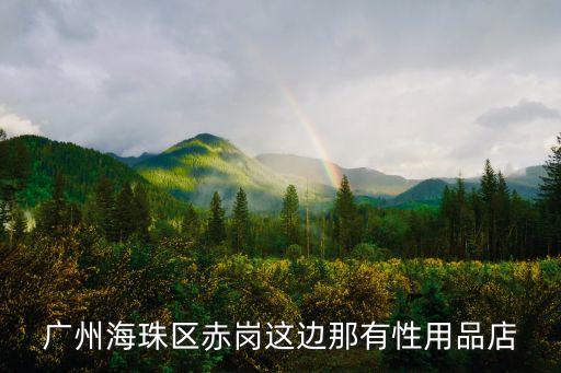 廣州海珠區赤崗這邊那有性用品店