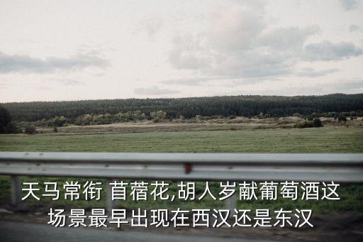 苜蓿花