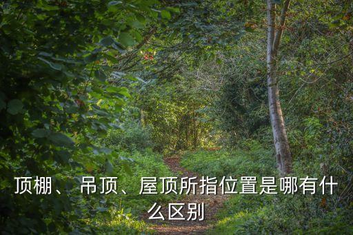 吊頂天棚,天棚吊頂施工工藝怎么看?