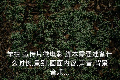 學校 宣傳片微電影 腳本需要準備什么時長,景別,畫面內容,聲音,背景音樂...