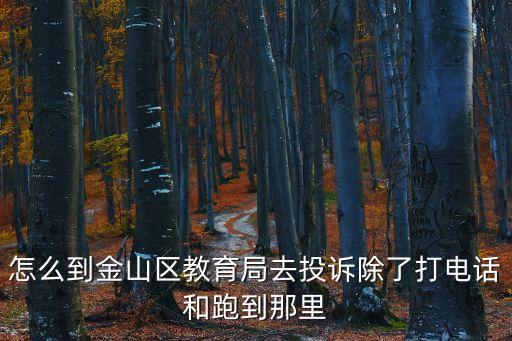怎么到金山區教育局去投訴除了打電話和跑到那里