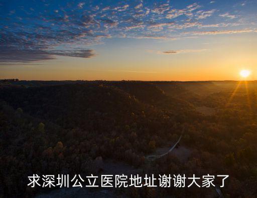 深圳醫(yī)院公共場(chǎng)所，求深圳公立醫(yī)院地址謝謝大家了